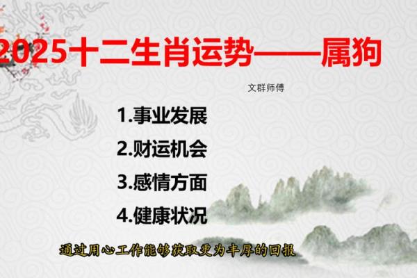 1961年狗年出生的牛命解析：性格特征与人生运势
