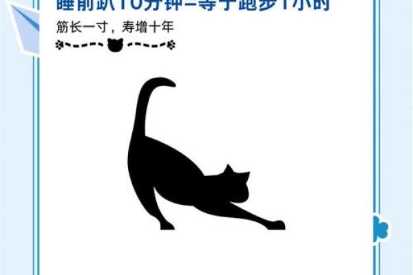 为什么命不能趴着睡觉？揭示背后的秘密与影响！