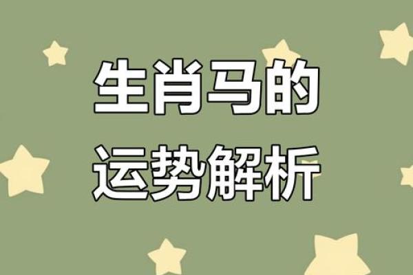 探秘2002年出生的马命：性格、运势与生活亮点