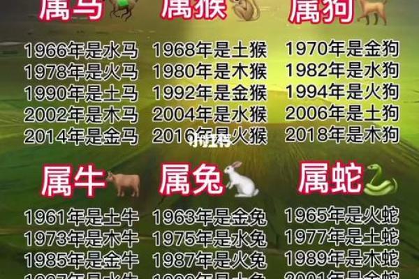 八岁的孩子属什么生肖，命理解析与成长指导