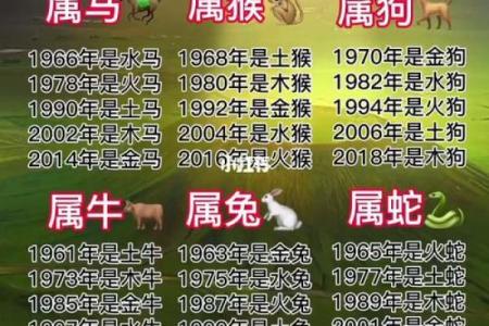 八岁的孩子属什么生肖，命理解析与成长指导