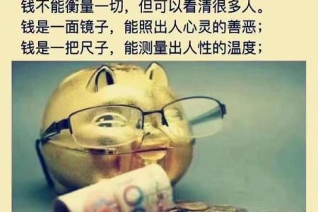 16岁属什么生肖，命理解析与人生启示