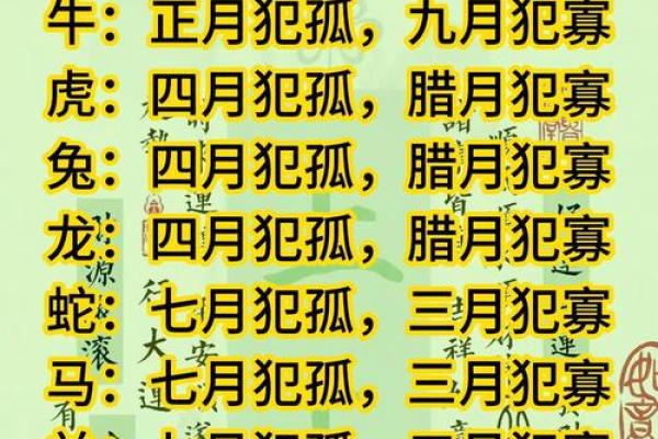 马年宝宝命里缺什么？破解命理，成就未来！