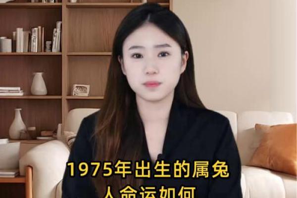 属兔1951年命运与人生解析，揭示兔年人的性格与运势特点