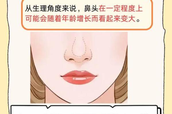 鼻子中间突出的意义与命运解析：你可能不知道的秘密