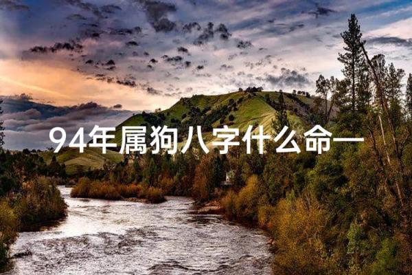 属狗男人的命理分析：哪些命格最为吉祥？