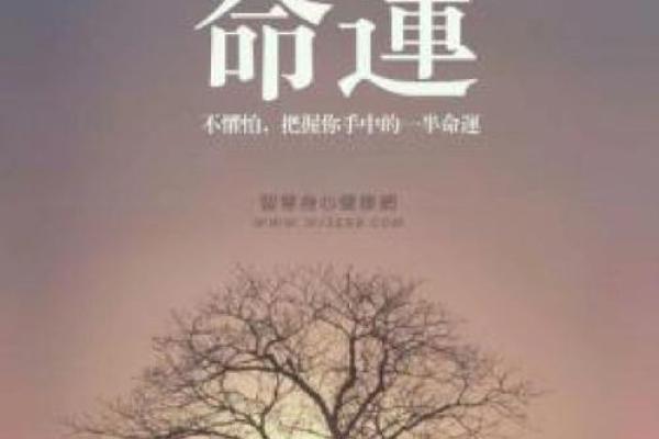 飞光命解析：命理中的光辉与命运的交织之道