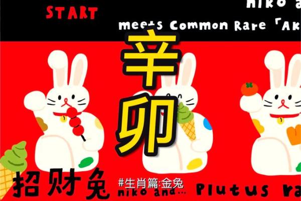 2023兔年命理解析：属兔人的性格与运势揭秘