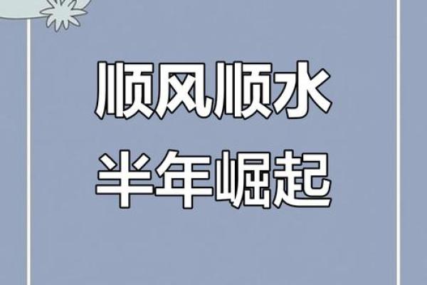 2023年：兔年带来的好运与新机遇
