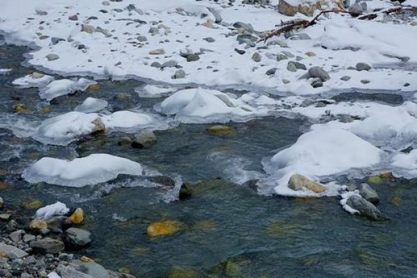 淡水命的奥秘：从冰雪到溪流的生命之源