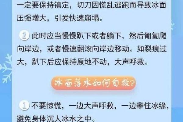 淡水命的奥秘：从冰雪到溪流的生命之源