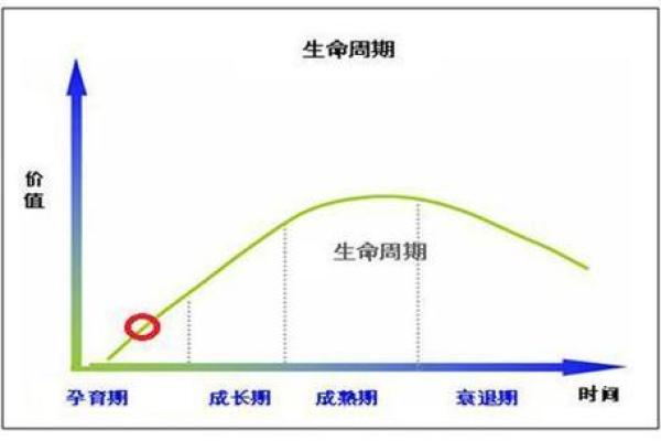 1958年属鸡人的命运解析：独特个性与生命轨迹的探讨
