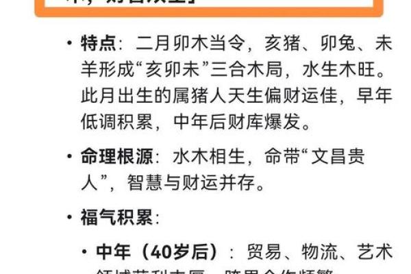己巳年属相命理解析：如何提升你的运势与生活质量