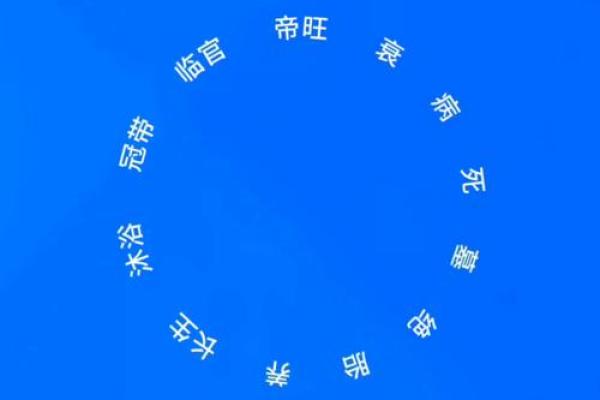 阳火命与生肖动物：探索命理中的火象相配关系