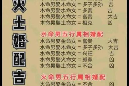 水命排行最好，探寻命理中的水之魅力与智慧