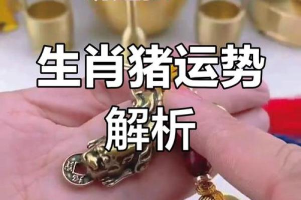 2007年出生的猪：揭示木命的独特魅力与运势