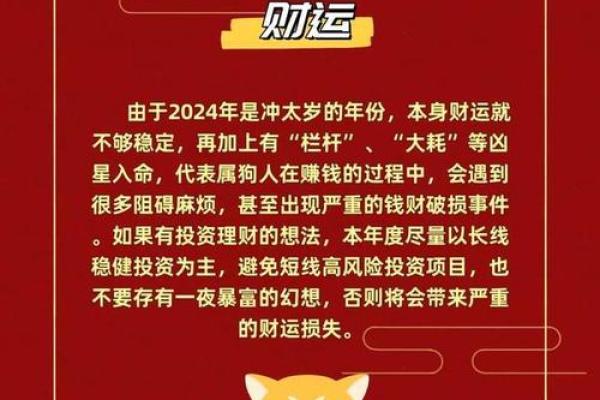 属狗命理解析：2023年最佳选择与发展方向