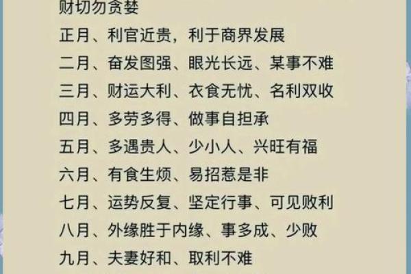 2016年属猴男孩命运解析：聪明才智与未来发展之路