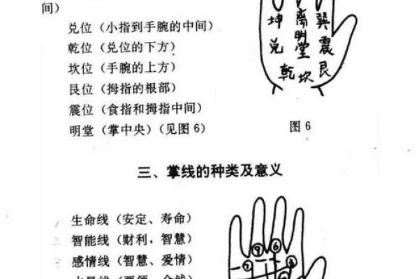 手相算命的奥秘：透视命局与未来的指引