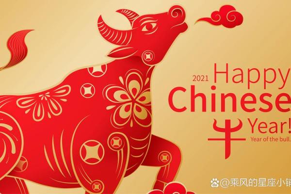 火牛12月生日命理解析：揭示运势与性格特点