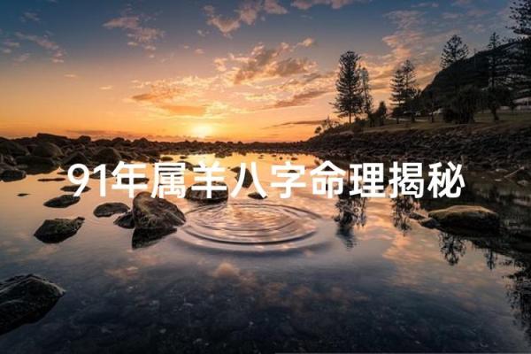 探讨91年羊的命理特征与人生运势的奥秘