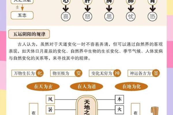命理中的负面影响与生活的微妙联系