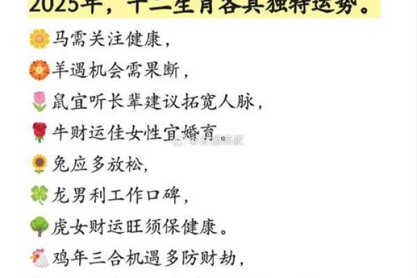 2034年属什么？详解命运与生肖的奥秘！