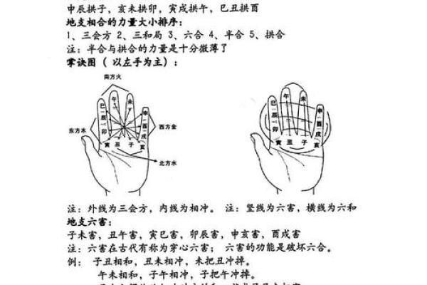 命理学爱好者必读:探寻命运的智慧与科学 命理学爱好者必读:探寻命运的智慧与科学