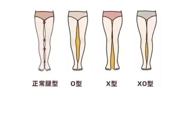 大腿粗人的命运:从体型看性格与吉凶的微妙关系 大腿粗人的命运:从体型看性格与吉凶的微妙关系