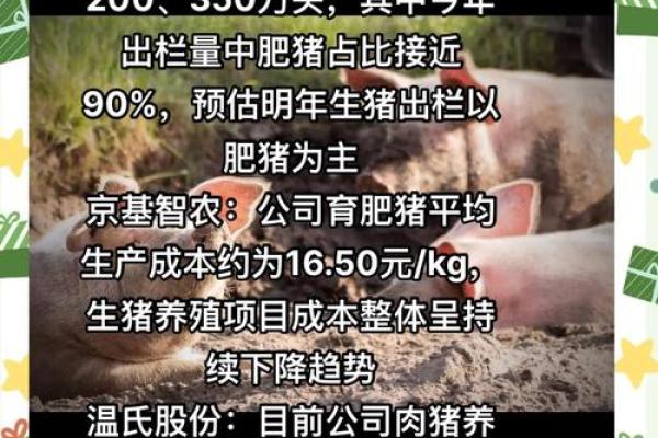 2017年猪年的命运解析:解密属猪人事业与感情的双重挑战 2017年猪年的命运解析:解密属猪人事业与感情的双重挑战