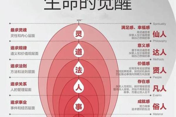 绳命的深意：探索生命的本质与意义