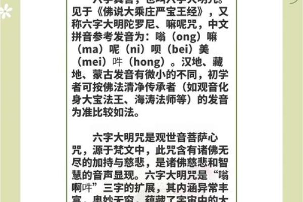 探寻“依命”的深意：从释义到应用的多元天地