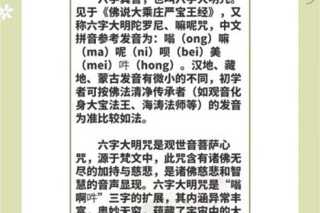 探寻“依命”的深意：从释义到应用的多元天地