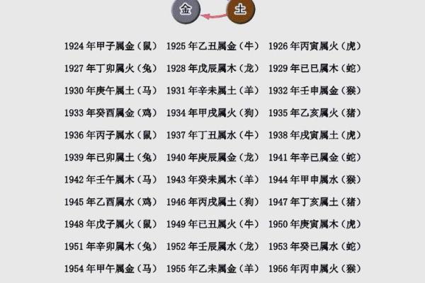 2019年属什么命格?探寻五行中的秘密与运势 2019年属什么命格?探寻五行中的秘密与运势