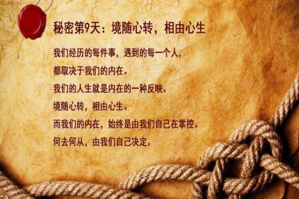 65年命运之门:揭秘命缺与人生的秘密 65年命运之门:揭秘命缺与人生的秘密