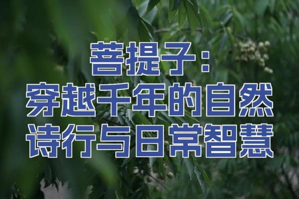 探索老鼠的生命之名:从命名中理解自然的智慧与奇妙 探索老鼠的生命之名:从命名中理解自然的智慧与奇妙
