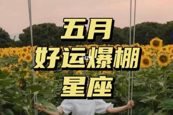 揭开锦鲤命格女孩的神秘面纱:她们为何如此幸运? 揭开锦鲤命格女孩的神秘面纱:她们为何如此幸运?