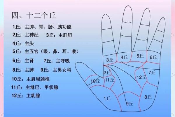 掌中有酒窝，命运如何解读？