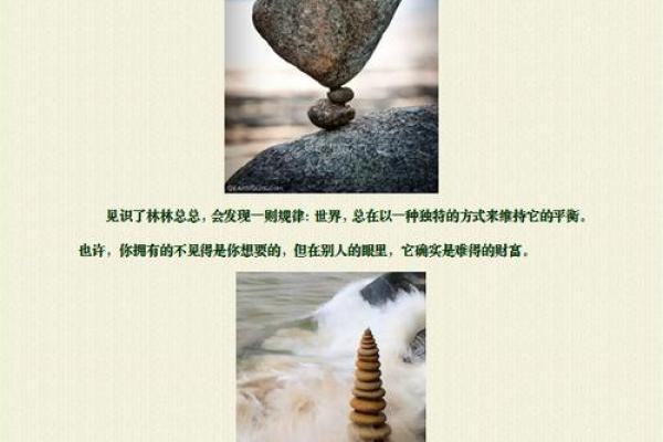 196年:鼠年与其命运的深度解析 196年:鼠年与其命运的深度解析