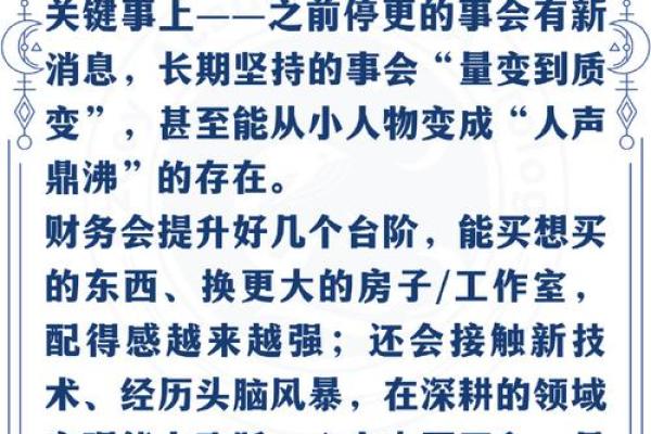 2025年木命逐梦启航：解析木命特点与生活智慧