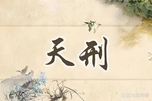 适合留在部队的命格分析与选择之道 适合留在部队的命格分析与选择之道