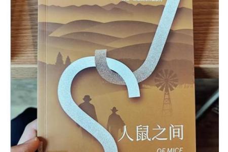 探秘1972年鼠年命格，揭秘你的命运之钥！