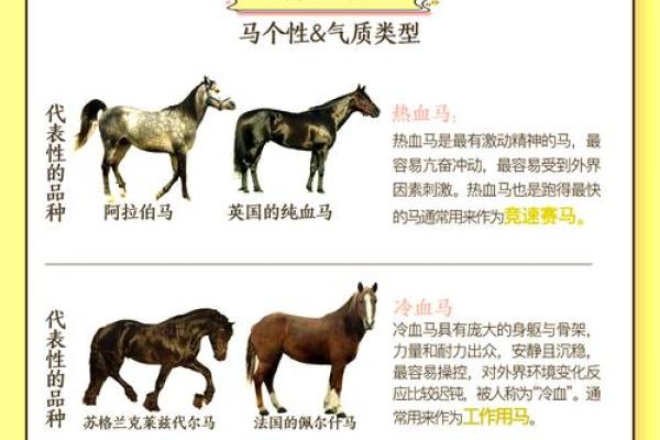 1990年出生的人属马,揭秘他们的命运与性格特征! 1990年出生的人属马,揭秘他们的命运与性格特征!