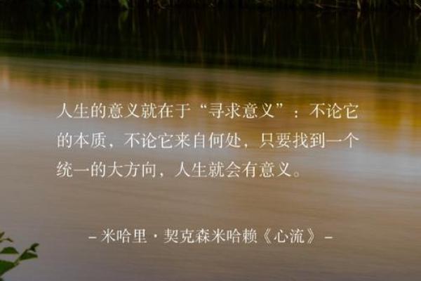 1995年的羊命:智慧与温暖的象征,探索人生的意义与价值 1995年的羊命:智慧与温暖的象征,探索人生的意义与价值
