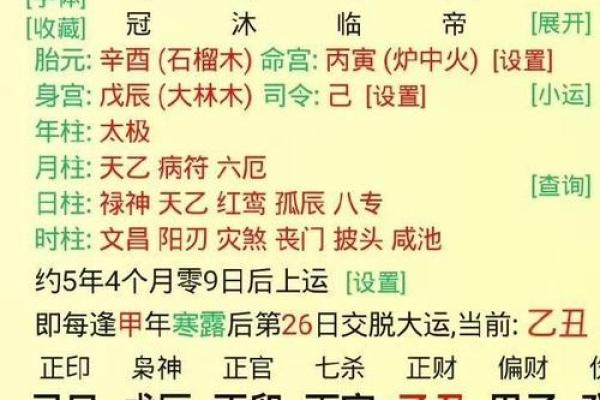 虎年壬寅年巳时的命理解析与生活启示