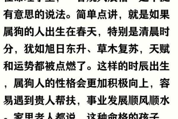 15岁属狗的命格与人生运势解析 15岁属狗的命格与人生运势解析