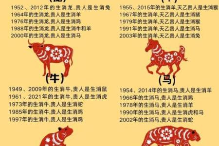 一九九七五属什么命？揭秘生肖与命运的奇妙关系