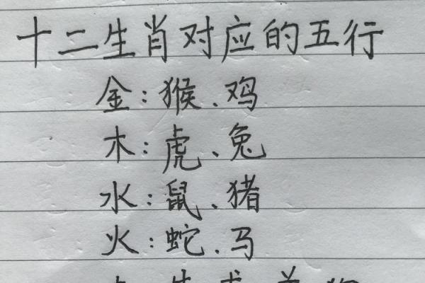 2019年土猪年：揭示十二生肖与五行命理的深奥秘密