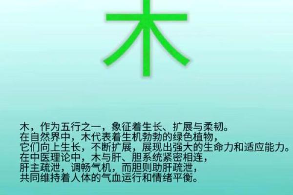 桑梓木命适合佩戴的吉祥物与五行相辅相成的智慧之选 桑梓木命适合佩戴的吉祥物与五行相辅相成的智慧之选