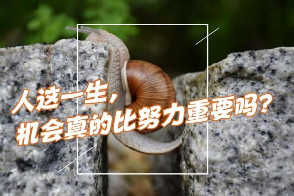 2020年的命运：如何把握机会，迎接挑战，创造美好人生